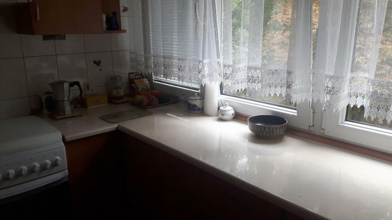 Motylek Apartment Lodź Bagian luar foto